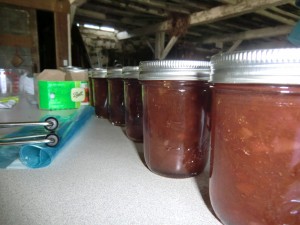 how to make jams 'n jellies at home