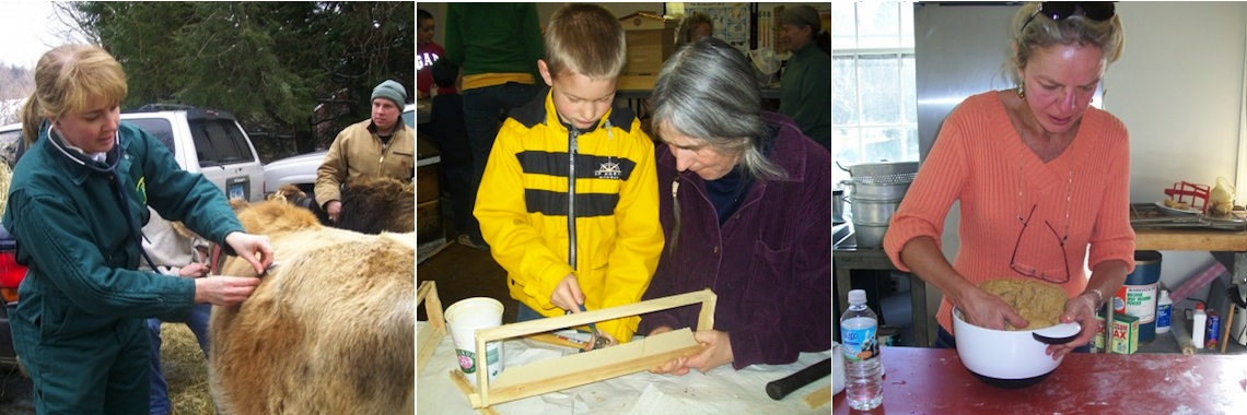 1140 Slide – Vet Check – Beekeeing- Kneading Family Cow Forum, Bread Making, and Beekeeping at Motherhouse